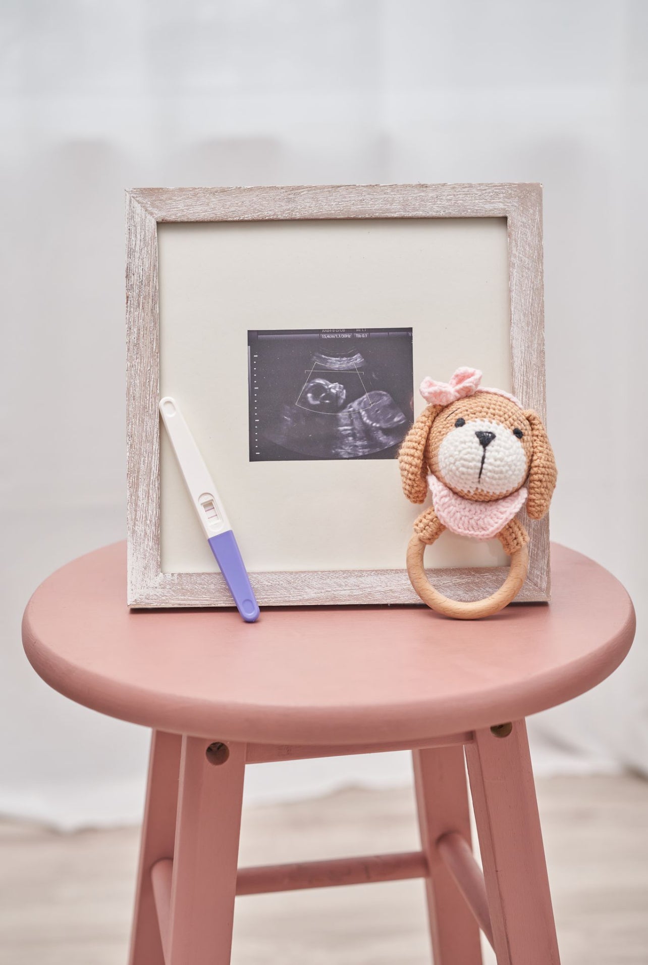 Cinnamon Pink Puppy Rattle