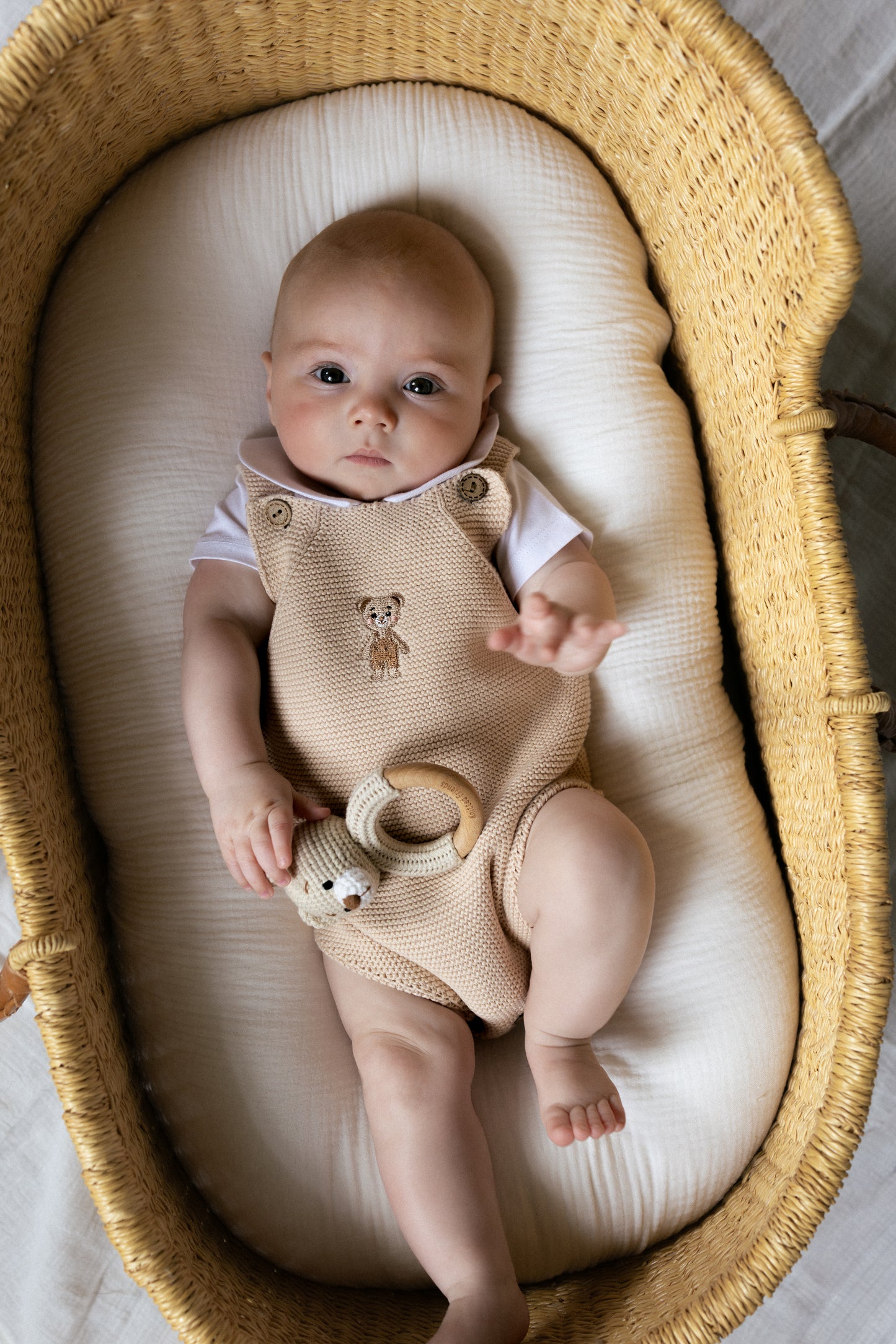 Bear Rattle