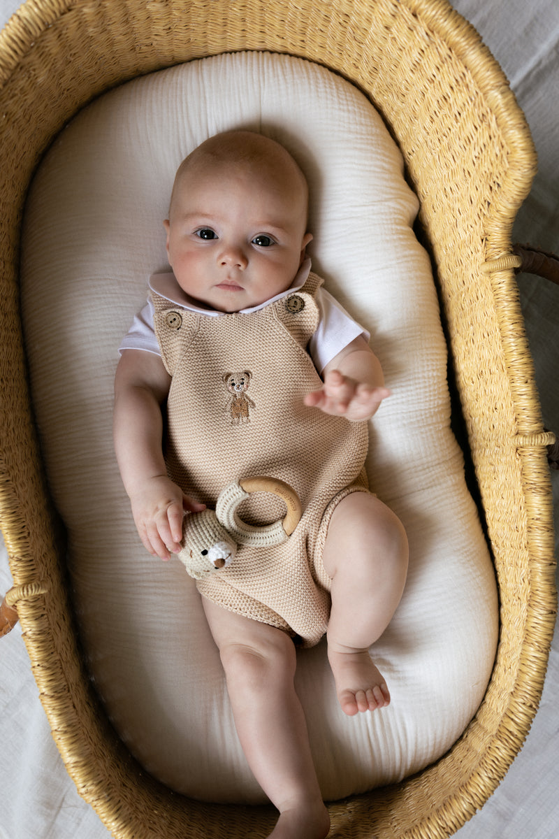 Bear Rattle