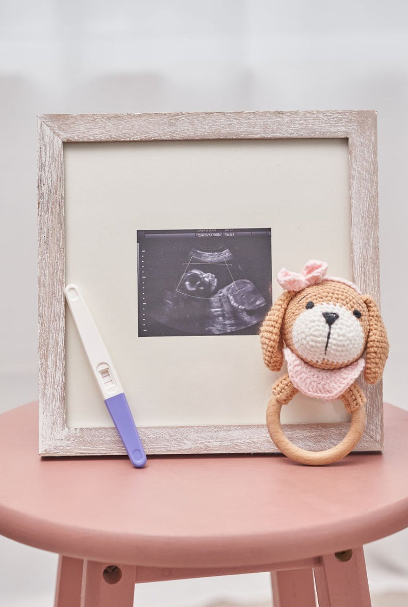 Pregnancy announcement setup with a handmade puppy rattle by Knitted Friends