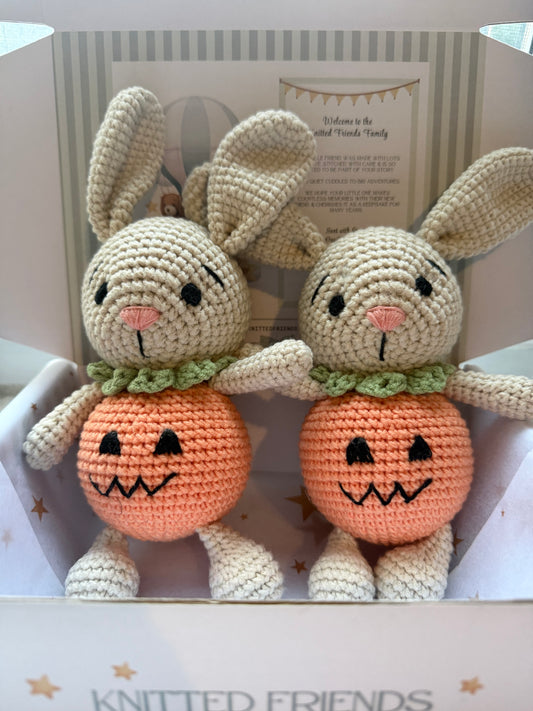 Pumpkin Bunny